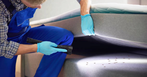 Best Pest Prevention Services  in Haven, KS