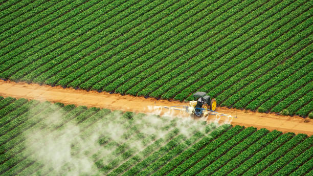 Best Pest Removal Services  in Haven, KS