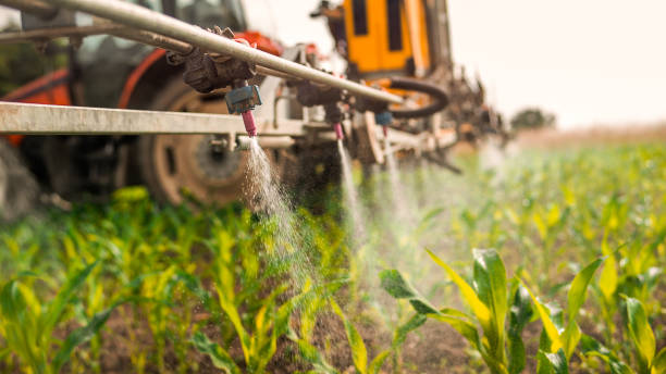 Best Pest Prevention Services  in Haven, KS